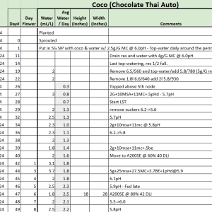 Chocolate Thai Auto tracker.png