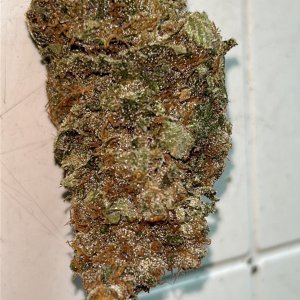 LB 6-28-24 dry nug.JPG