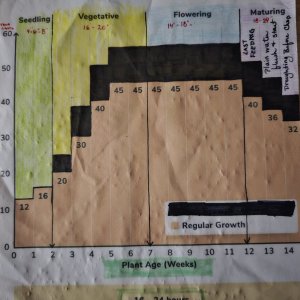 DLI chart