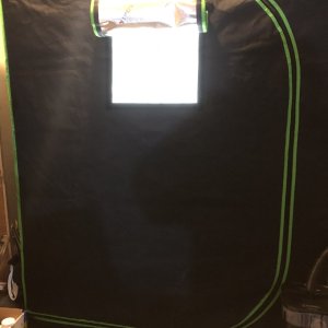 Vivosun 2x4x5 Grow Tent Outside Window Open.jpeg