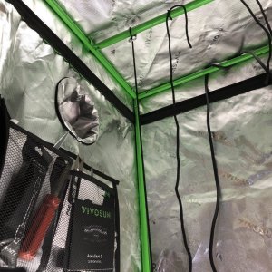 Vivosun 2x4x5 Grow Tent Inside Top Left.jpeg