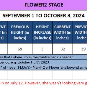 420 Update - September 1 to October 3, 2024.jpg