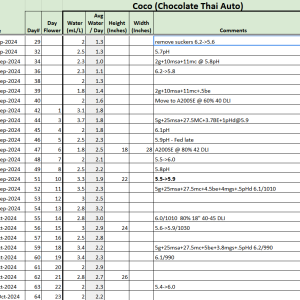 Chocolate Thai Auto tracker.png