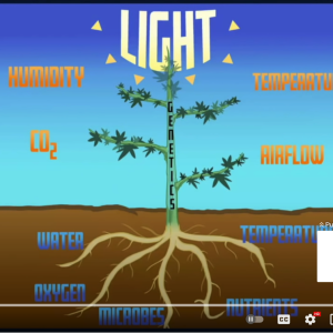 10 Parameters of Growth.png