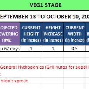 420 Update - October 3 to 12, 2024.jpg