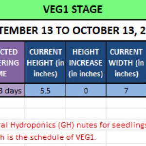 420 Update - September 13 to October 13, 2024.jpg