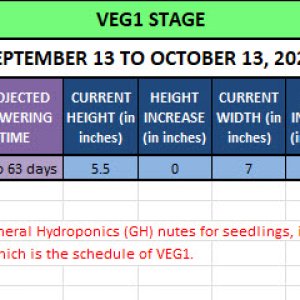 420 Update - September 13 to October 13, 2024.jpg