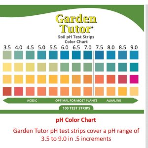 pH-Test-strip-and-color-chart.jpg