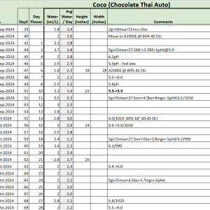 Chocolate Thai Auto tracker.png