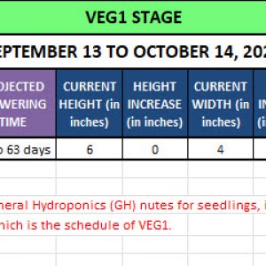 420 Update - September 17 to October 14, 2024.jpg