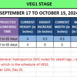 420 Update - September 17 to October 15, 2024.jpg