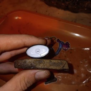 Humboldt dream hash