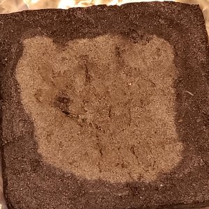 Humboldt dream bubble hash