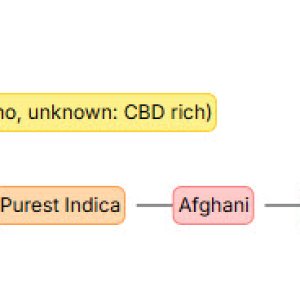 NLCBD strain.jpg