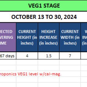 420 Update - October 13 to 30, 2024.jpg