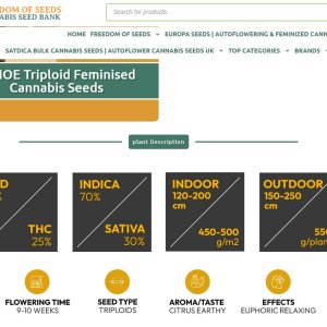 FOSCSB_TahoeTri_Data.jpg