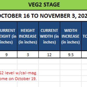 420 Update - October 16 to November 3, 2024.jpg