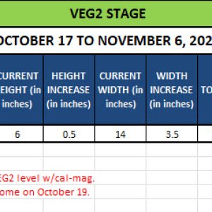 420 Update for Penny - October 17 to November 6, 2024.jpg