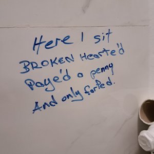 Toilet humour