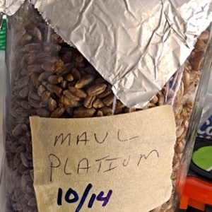 Maui Platinum 10-25.jpg