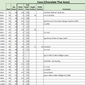 Chocolate Thai Auto tracker.png