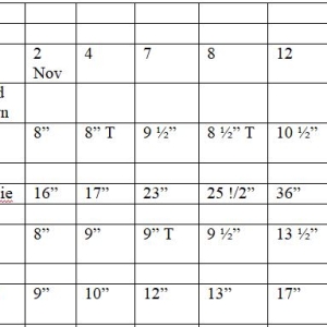 Day 16 of 57 Heights average 12 Nov.JPG