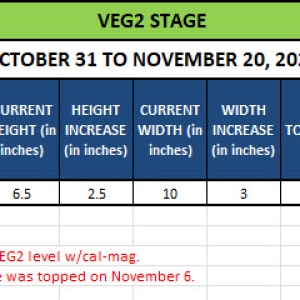 420 Update for Bianca - October 31 to November 20, 2024.jpg