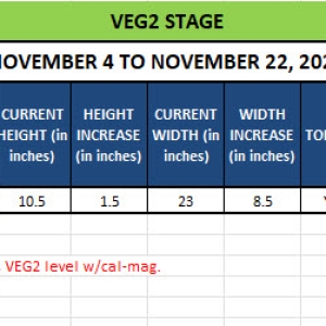 420 Update for Camilla - November 4 to 22, 2024.jpg