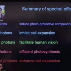 Bugbee Photon Spectral Effects.png