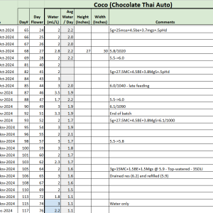 Chocolate Thai Auto tracker.png