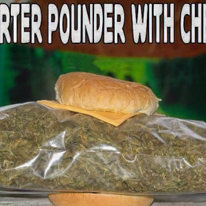 Quarter Pounder with Cheese-1.jpg