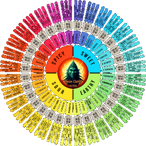 Terp Chart