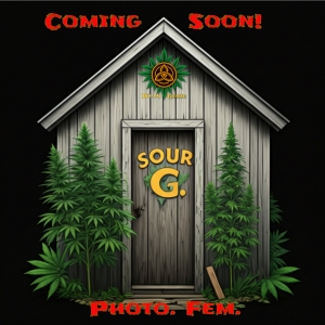 SHED Sour G Coming Soon.jpg