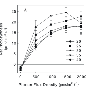 Chandra - Cannabis photosynthesis vs PPFD and Temp.png