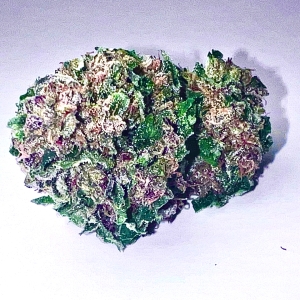 Purple Kush