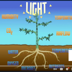 10 Parameters of Growth.png