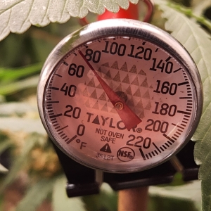 Ambient TEMP at plants is 75°F