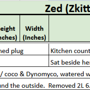 Zed - Zkittles Auto Tracker.png