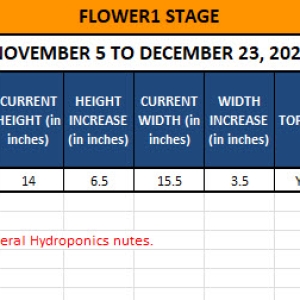 420 Update - November 5 to December 23, 2024.jpg