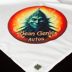 Bean Genie Bandana.jpg