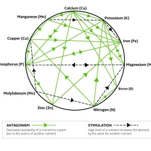 Mulder's Chart.jpg