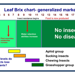 Leaf-Brix-Chart-with-insect-groups (2).jpg