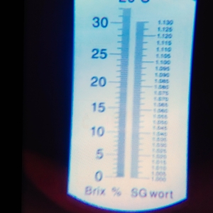 Refracto scale using cell phone camera-1.jpg