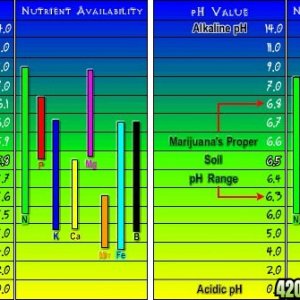 phchart1iu5