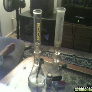 Double Perc Roor/ Double Perc ZOB