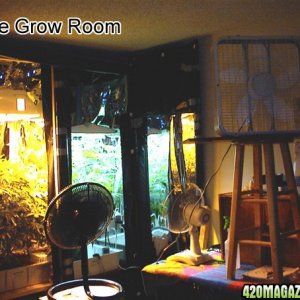 grow room