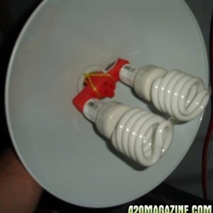 cfls