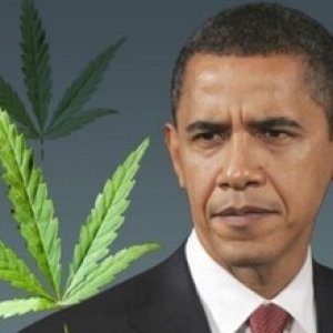 ObamaonMedicalMarijuana