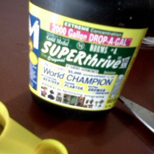 Super Thrive