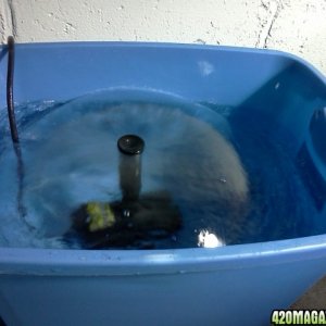 dechlorinating_water_tub1